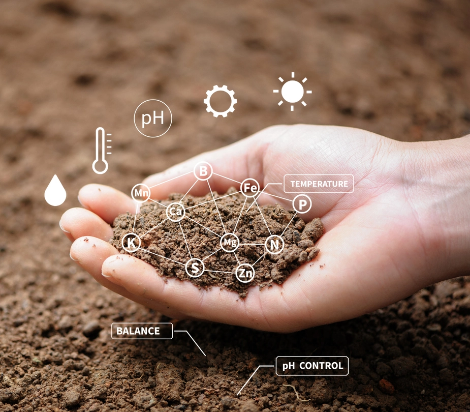 Hand holding soil with science info