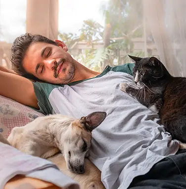 Man Napping with Dog and Cat