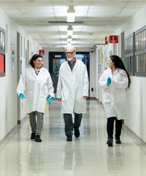 Scientists Walking